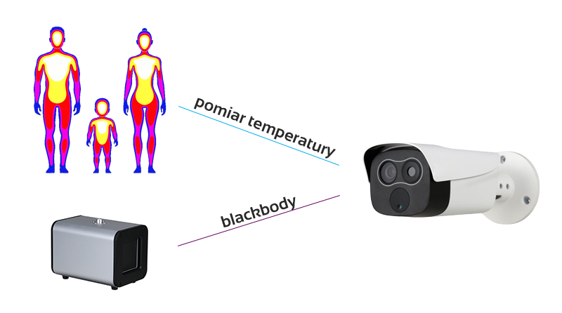 Blackbody - pomiar temperatury ciała CCTV